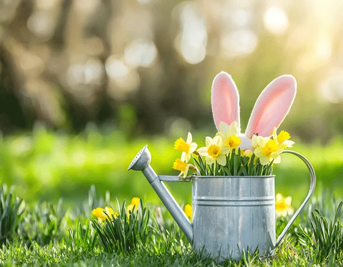 Gardening & Landscaping