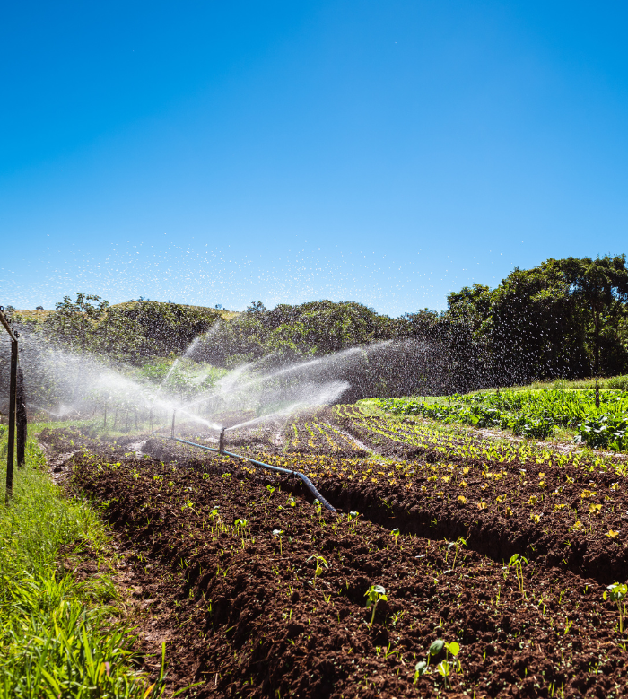  KrishiDrip – Smart Irrigation for Farmers